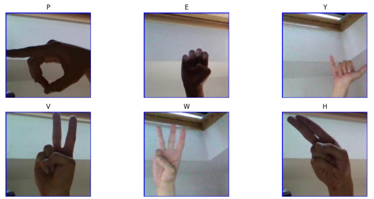 Some examples of training images